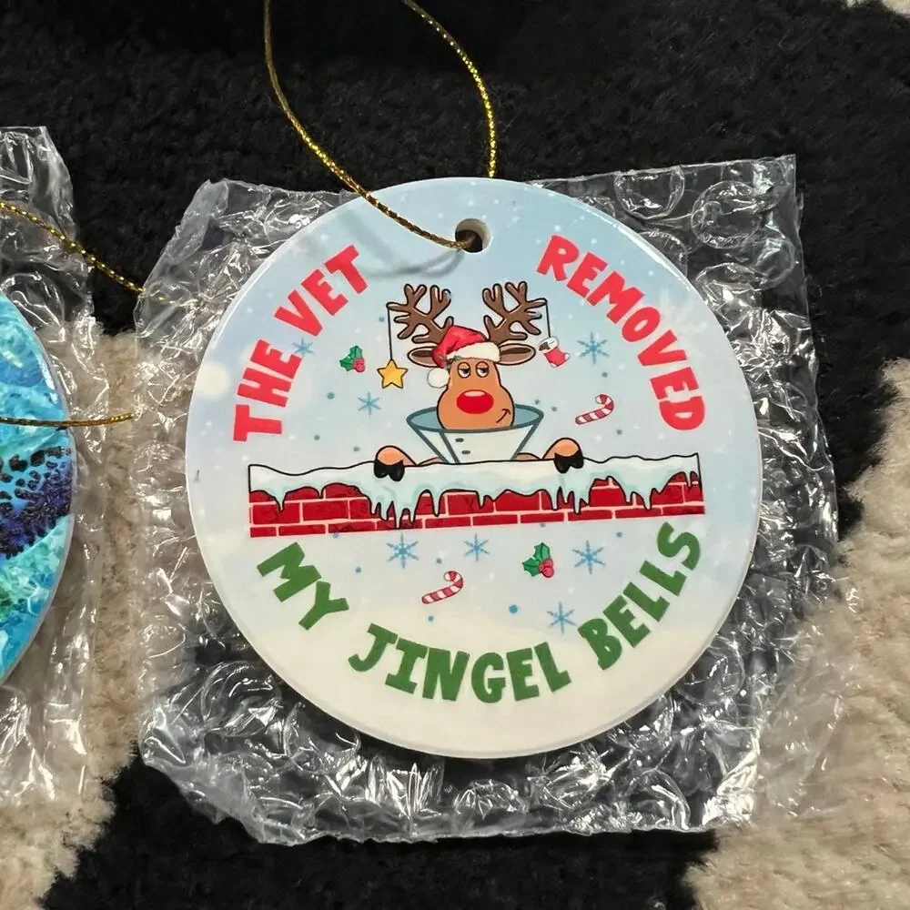 2 piece ornament. Funny vet, dogs, sea turtle Christmas